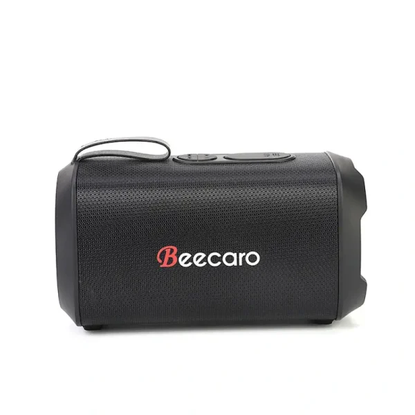 Speaker Beecaro GF601