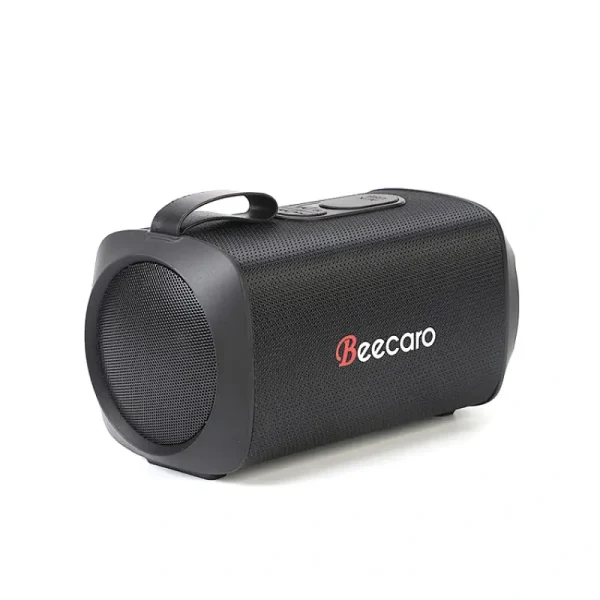 Speaker Beecaro GF601