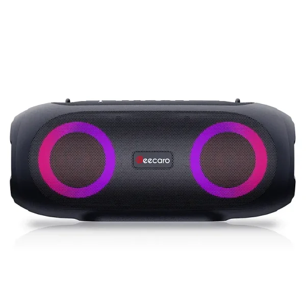 Speaker Beecaro GF702