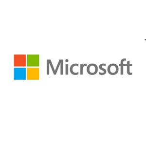 Microsoft Stock